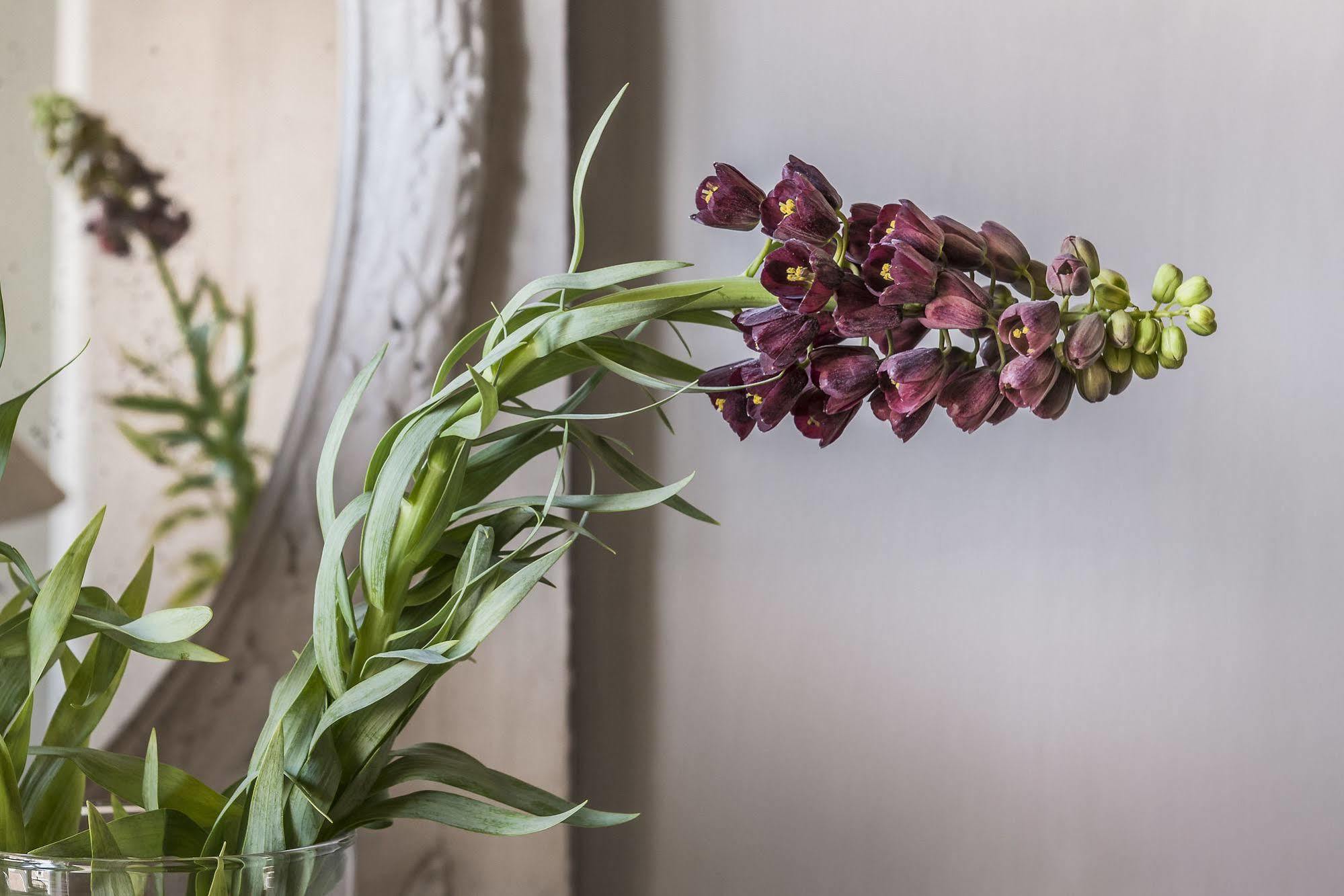Hign-End Getaway In Heart Of Medieval Bruges - Katelijne Esterno foto
